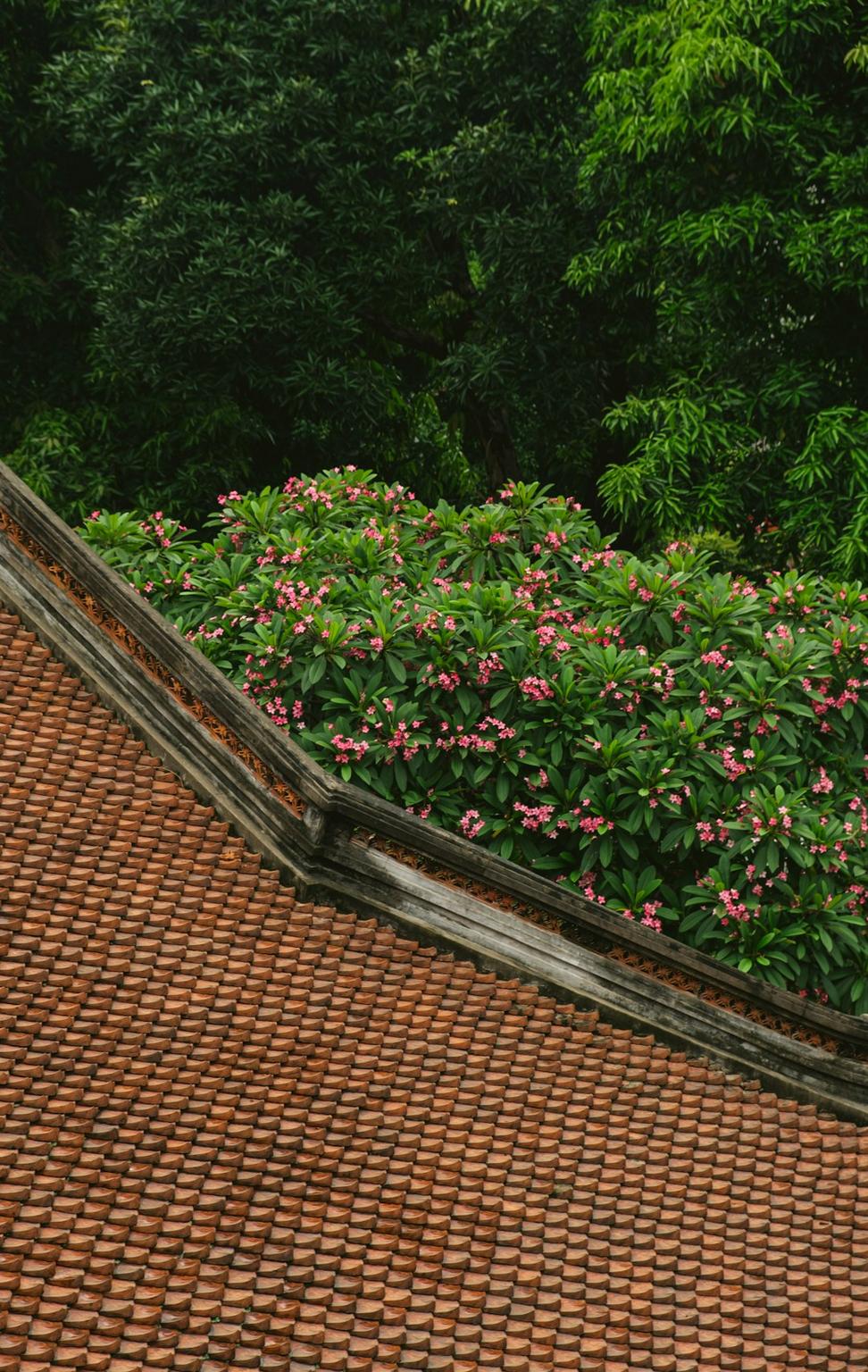 Green roof installation