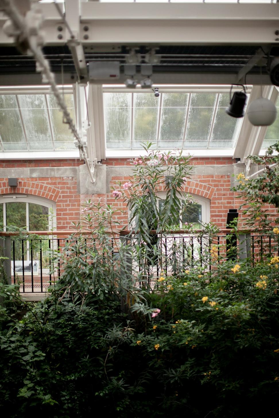 Forest Hill Family Home